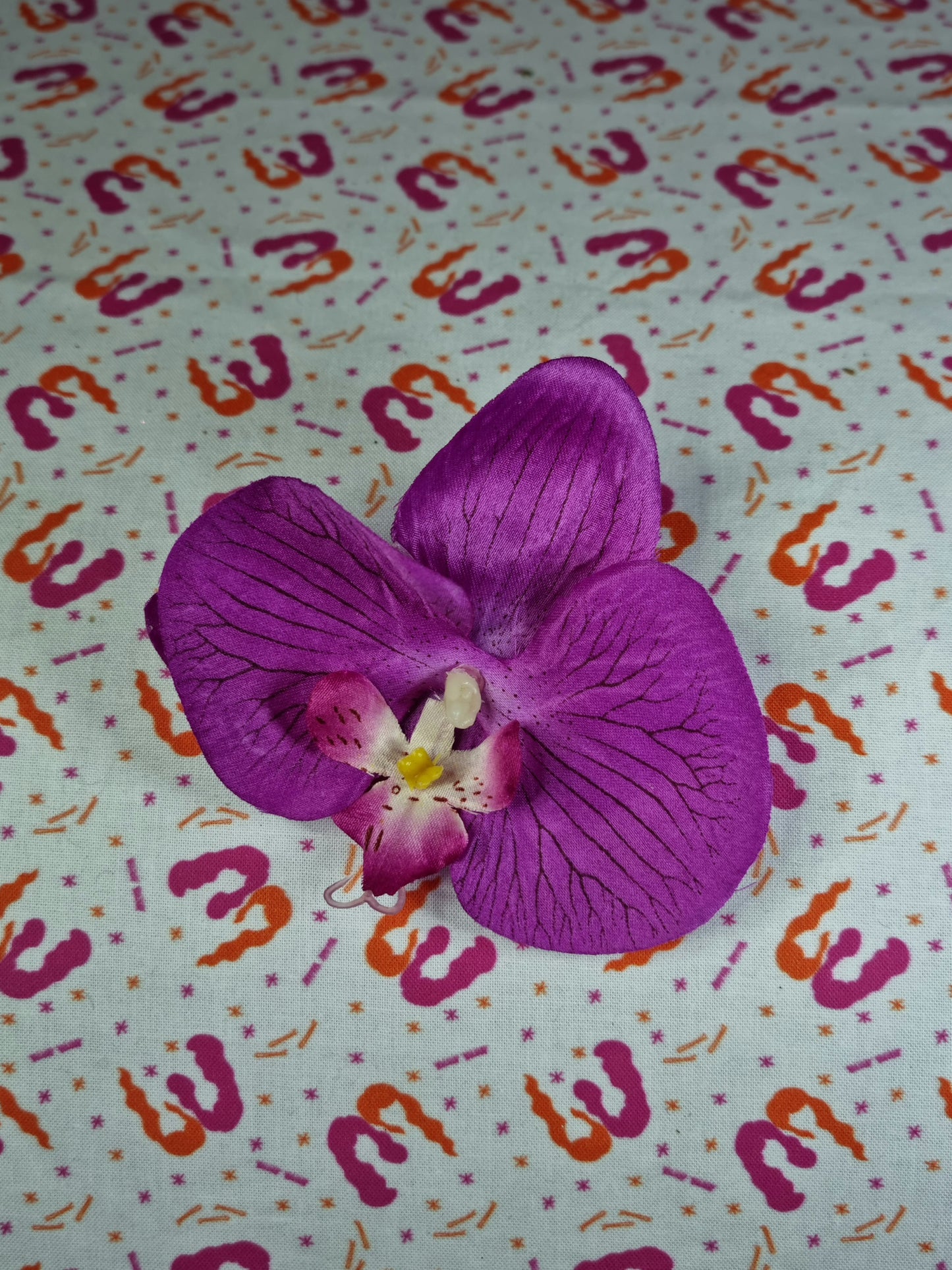 Phalaenopsis Orchids